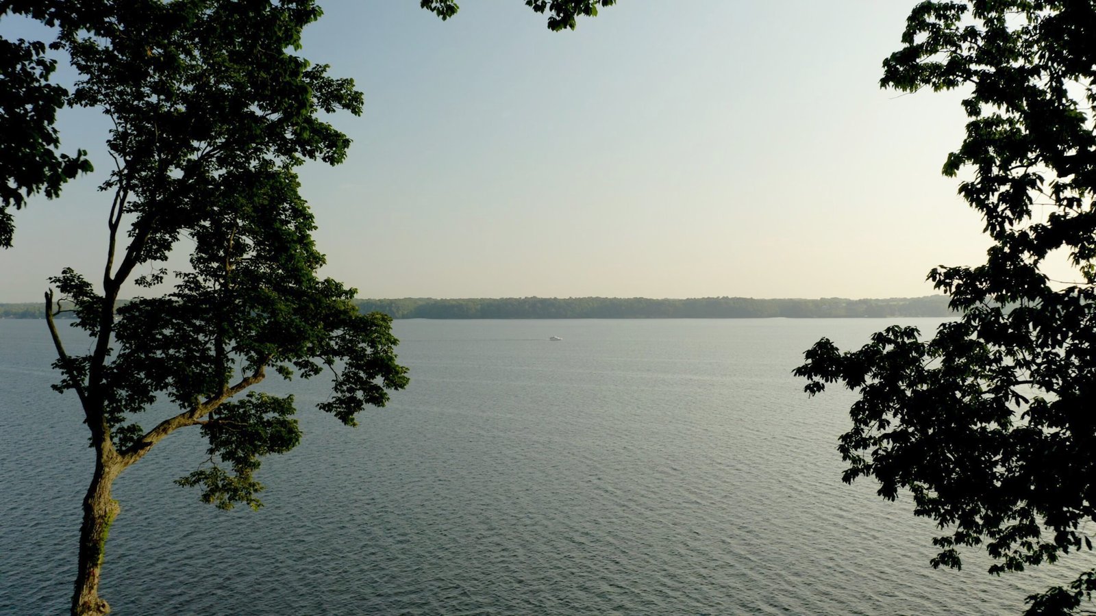 Sunlight filters through a lush canopy of green trees over a quiet, paved road winding through a peaceful forest landscape.